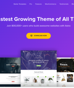 Astra WordPress Theme