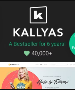 KALLYAS - Creative eCommerce Multi-Purpose WordPress Theme
