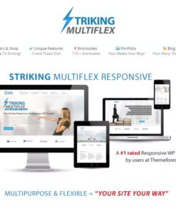 Striking - MultiFlex & Ecommerce Responsive WP Theme