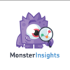 MonsterInsights Pro Google Analytics