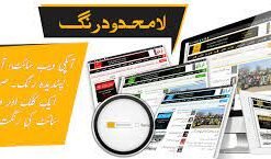 Premium WordPress Urdu Theme
