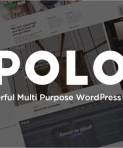 Polo - Responsive Multi-Purpose WordPress Theme