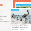 MyThemeShop Socially Viral WordPress Theme