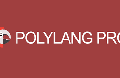 Polylang Pro_Most Popular Multilingual WordPress Plugin